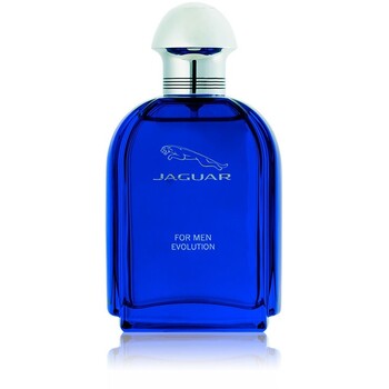 Evolution EDT